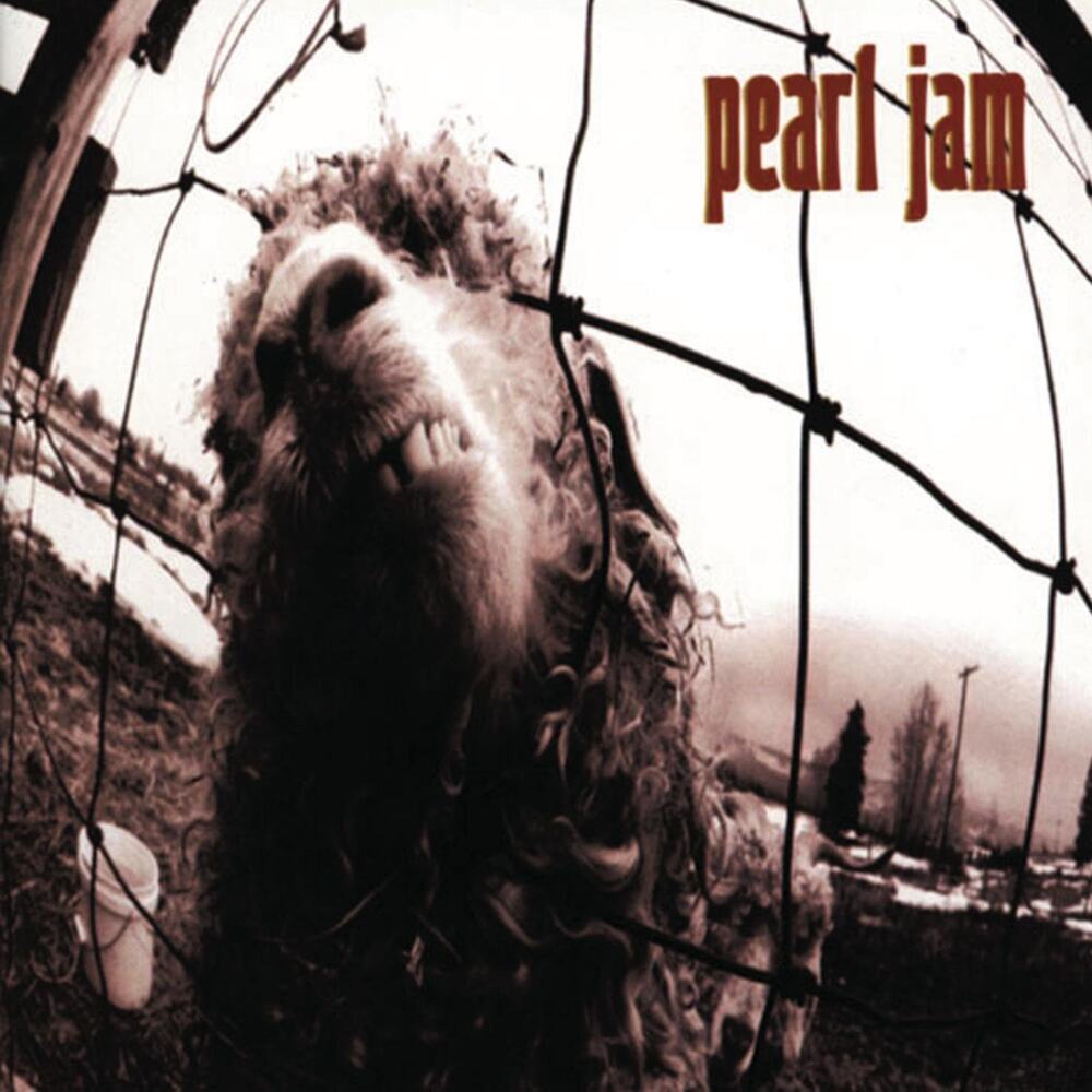 Vs. by Pearl Jam (CD, Oct-1993, Epic)